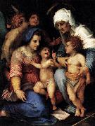 Andrea del Sarto Madonna and Child with St Elisabeth, the Infant St John, and Two Angels oil painting artist